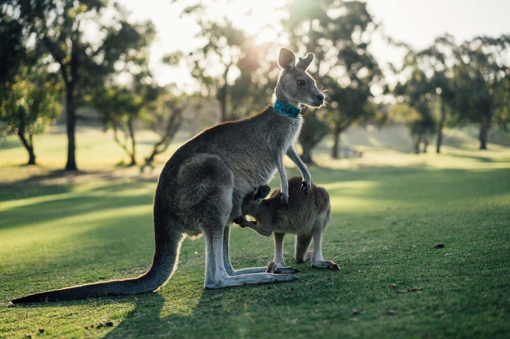 vacation with Pinterest Australia.