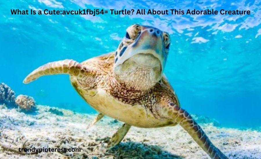 cute:avcuk1fbj54= turtle