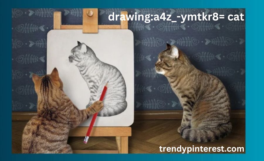 drawing:a4z_-ymtkr8= cat